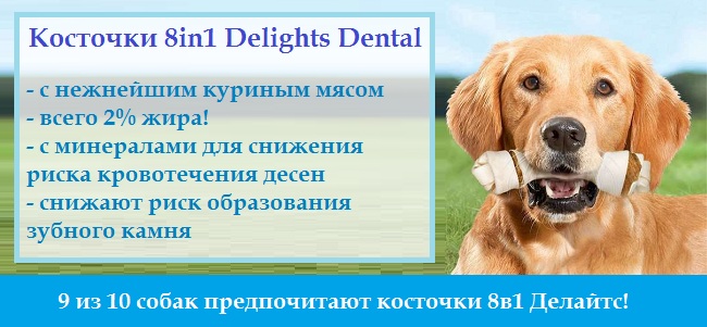 8in1 Delights Dental