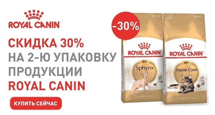 Зоодоставка Уфа Интернет Магазин